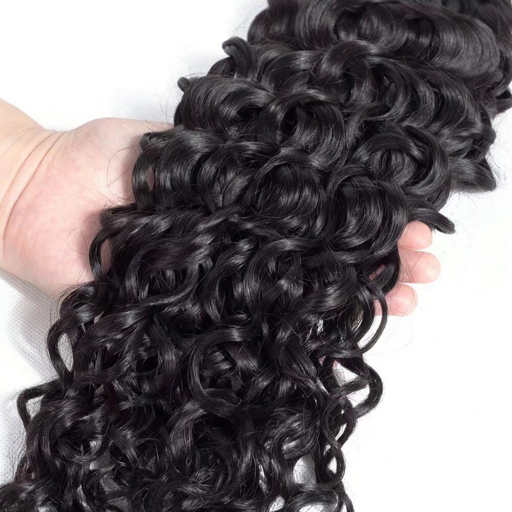 Ladiary Brasilianisches Echthaar Curly Human Hair 1 Bundles (10 Zoll) Water Wave Human Hair Bundles