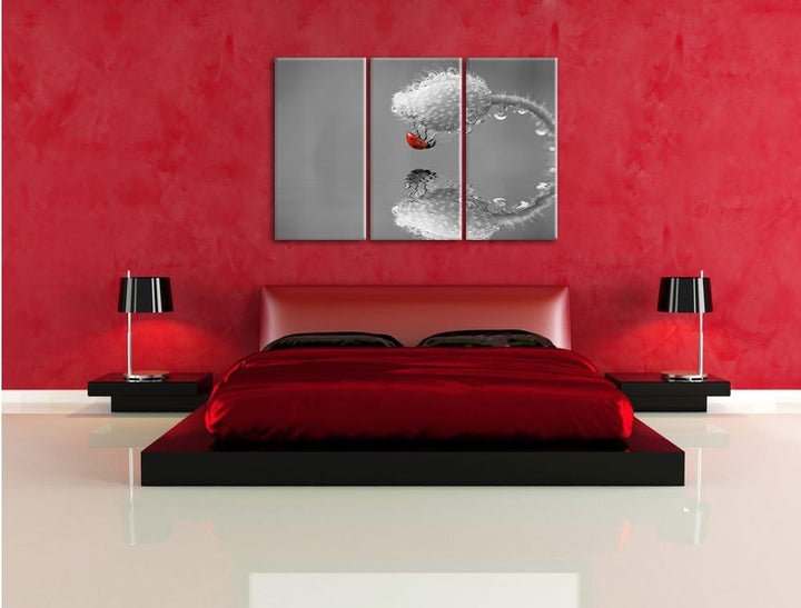 Pixxprint Marienkäfer Mohnblume als Leinwandbild/Grösse: 3 Teilig (120x80 cm) cm/Wandbild/Kunstdruck