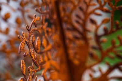 Bornhöft Metall Rost Gartendeko Edelrost rostige Garden Rost Deko Baum Lebensbaum Gartendeko Edelros