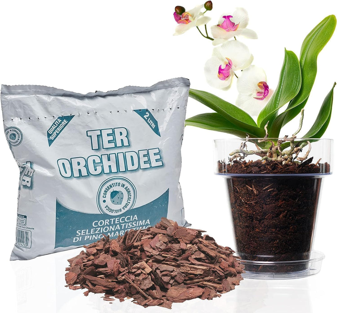 Kalapanta Orchideen-Umtopf 3er-Set: 3 Durchsichtiger Blumentopf mit Drainagelöchern, 3 Untertasse un