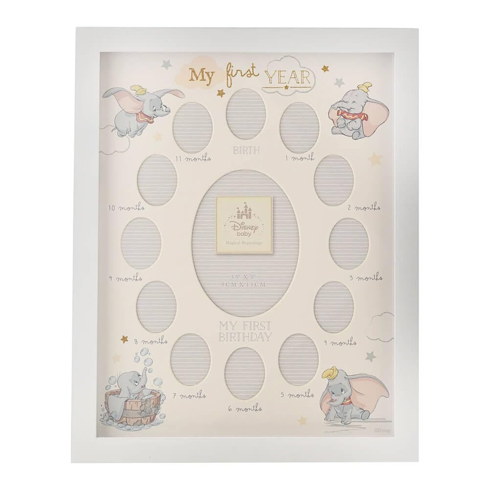 Brand: Disney Dumbo Magical Beginnings Photo Frame My First Year DI418, 200 g