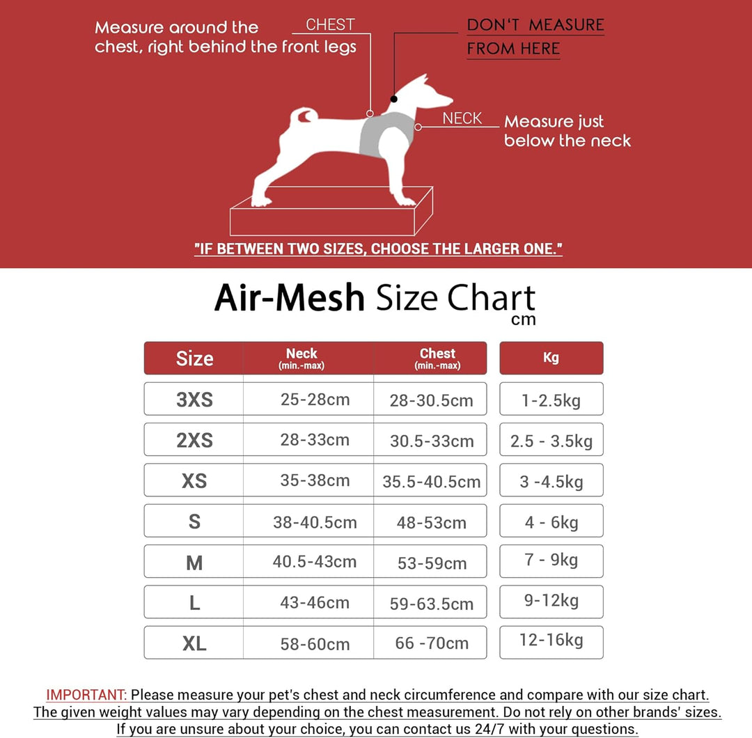 Air-Mesh Brustgeschirr für kleine und mittelgrosse Katzen und Hunde – Weich, Atmungsaktiv, Strapazie