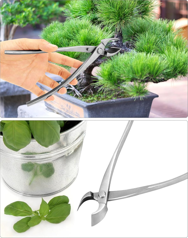 QWORK® Edelstahl Konkaver Schneider - 21 cm - für Bonsai-Gabelzweige