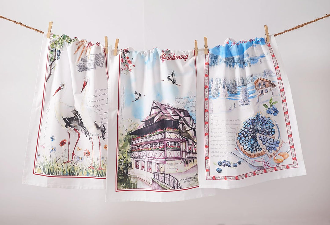 Maison d' Hermine Küchentücher, 100% Baumwolle, weich, saugfähig, 50,8 x 70,5 cm, 2 Stück Multicolor