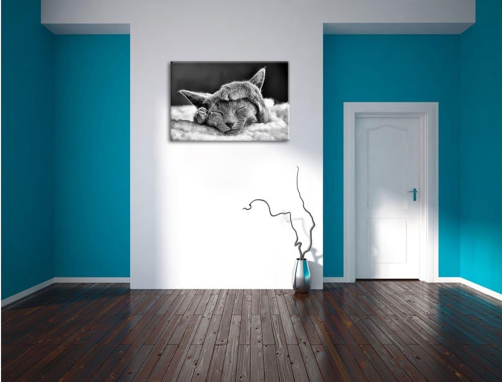 Monocrome, Süsses Kätzchen, Format: 100x70 auf Leinwand, XXL riesige Bilder fertig gerahmt mit Keilr
