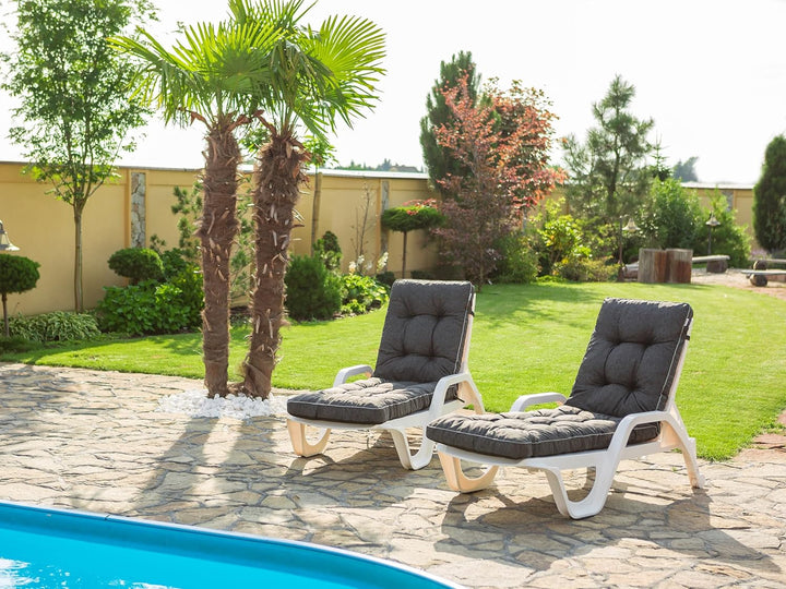 Bjird Liegenauflage, Auflage für Gartenliege 200 x 55 x 8 cm, Auflagen für Deckchair,Polsterauflage