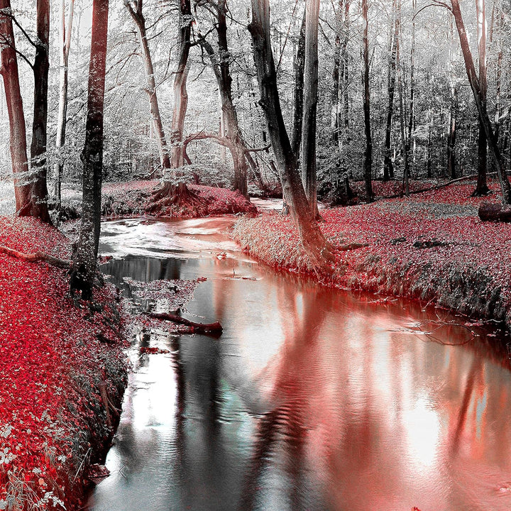 Runa Art Wandbilder Wald Landschaft 5 Teilig Bild auf Vlies Leinwand Deko Schlafzimmer Wohnzimmer Fl