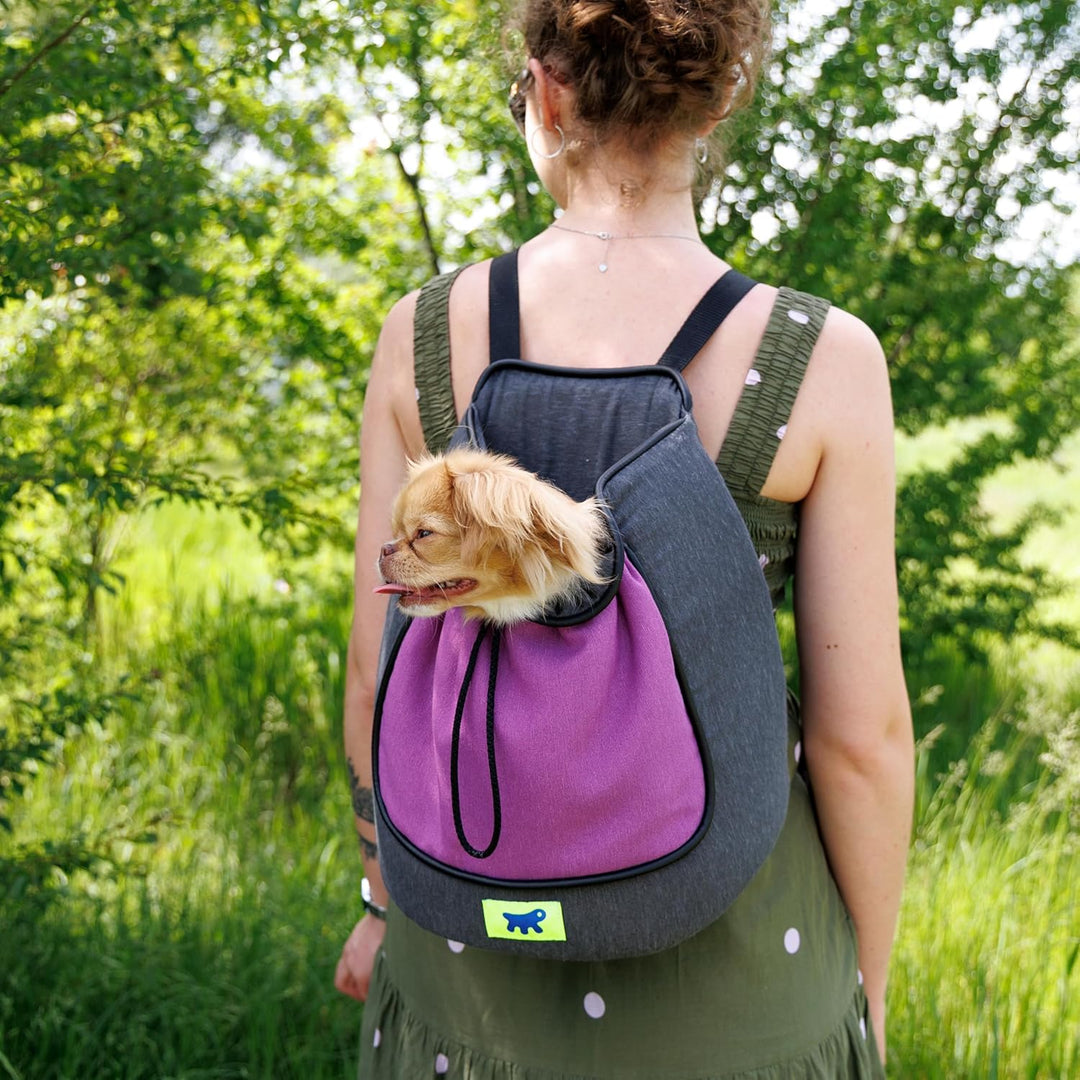 Ferplast Hunderucksack Trip, Katzenrucksack, Transportbox Katze, Hundetasche, verstellbare Gurte, Ko