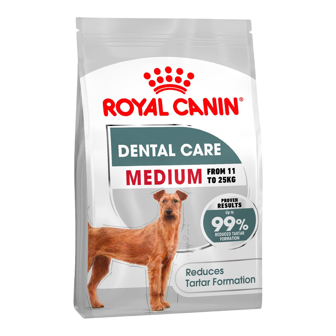 ROYAL CANIN CCN Medium Dental Care - Dry Food for Adult Dogs - 10kg