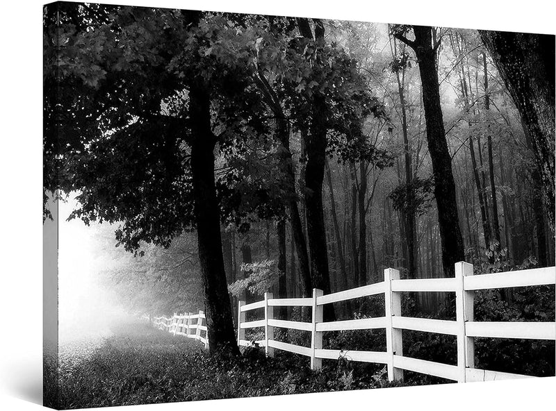 Startonight Leinwandbilder Schwarz und Weiss Strasse im Wald, Doppelansicht Überraschung Modernes De