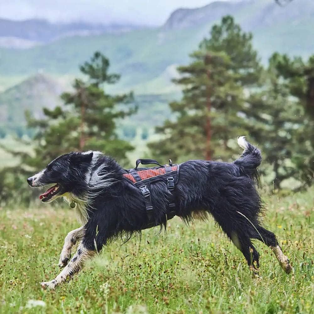 Non-Stop dogwear Rock Harness Long |130| Trekking, Führ und Alltagsgeschirr, Grösse:L