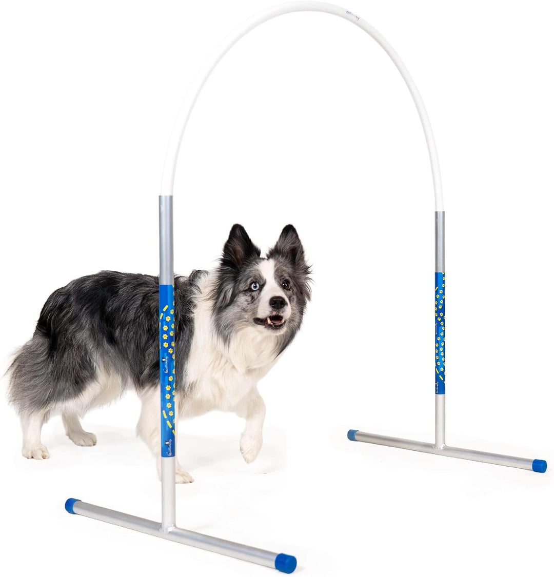 Hoopers Agility Hoops - NADAC Hoopers Agility Hoops ohne Mittelstrebe (Grosspackung) Weiss, Weiss