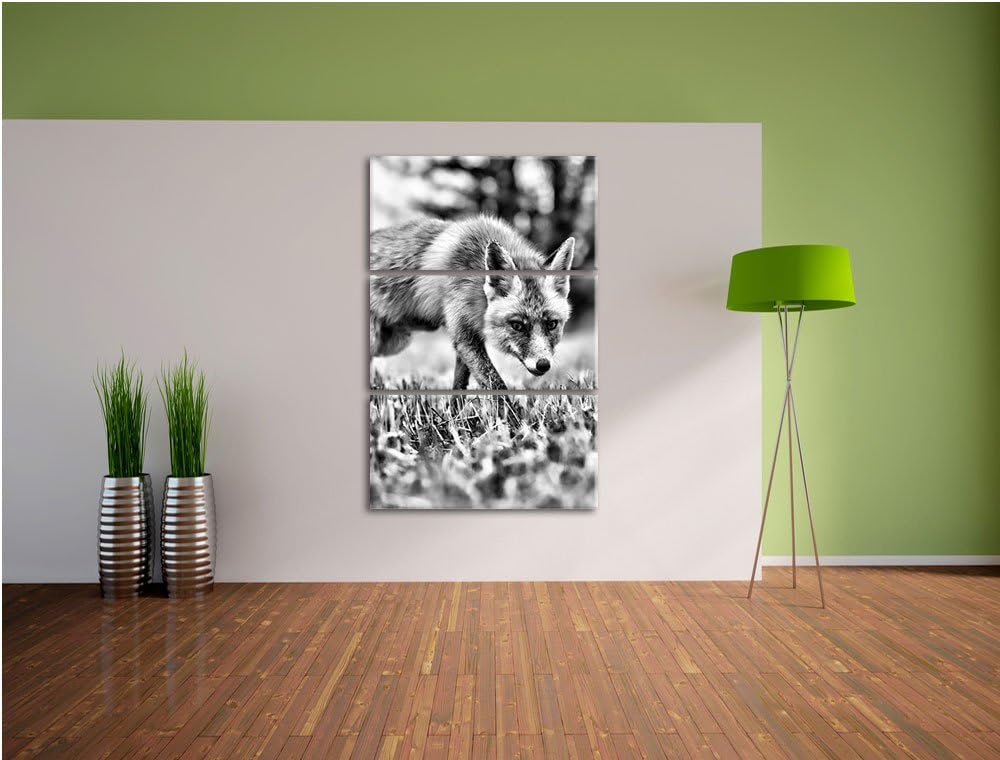 Pixxprint Schöner Fuchs als Leinwandbild/Grösse: 3 Teilig (120x80) cm/Wandbild/Kunstdruck/fertig bes