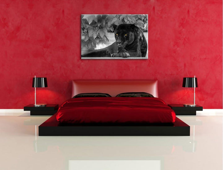 schöner schwarzer Panther schwarz/weiss auf Leinwand, XXL riesige Bilder fertig gerahmt mit Keilrahm