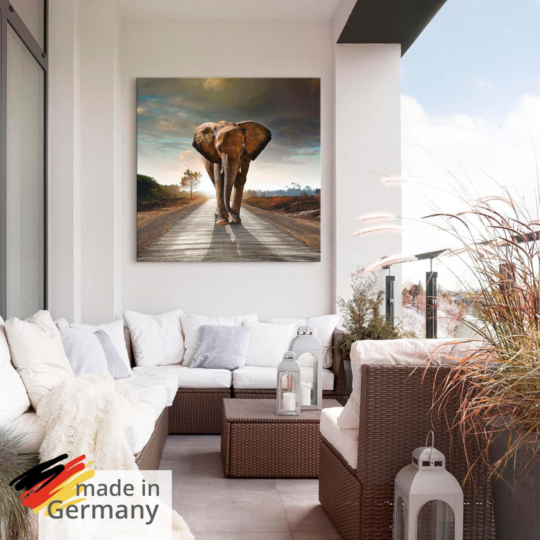 Artland Wandbild Alu für Innen & Outdoor Metall Bild 40x40 cm Tiere Wildtiere Elefant Fotografie Bra