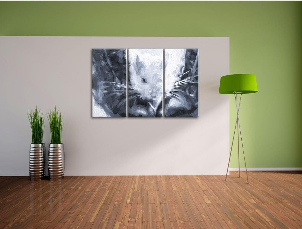 Pixxprint Chinchilla zwischen Schuhen als Leinwandbild/Grösse: 3 Teilig (120x80) cm/Wandbild/Kunstdr