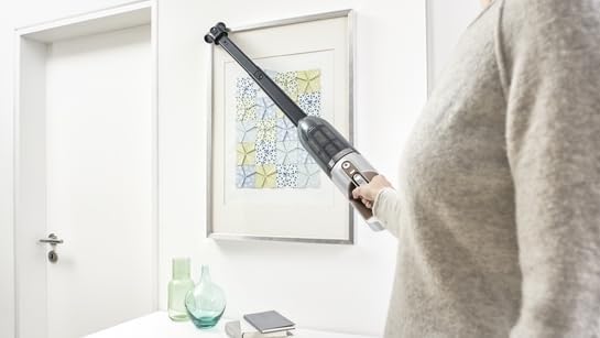Bosch Serie 4 Akku-Staubsauger Flexxo Gen2 28Vmax Braun BCH3K2852