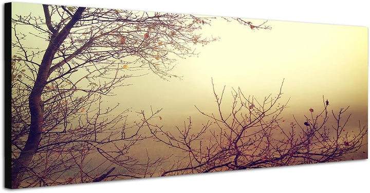 Paul Sinus Art Panoramabild auf Leinwand und Keilrahmen 120x40cm Herbst Bäume Äste Nebel Vintage