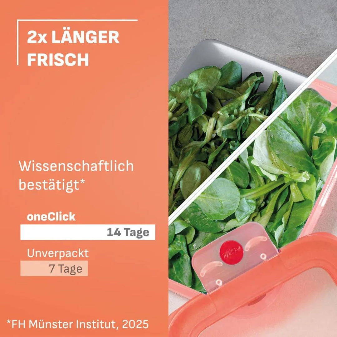 EMSA oneClick Frischhaltedosen, Meal Prep Set 5 x 1,2L, Lebensmittel 2 x länger frisch, 100% dicht,