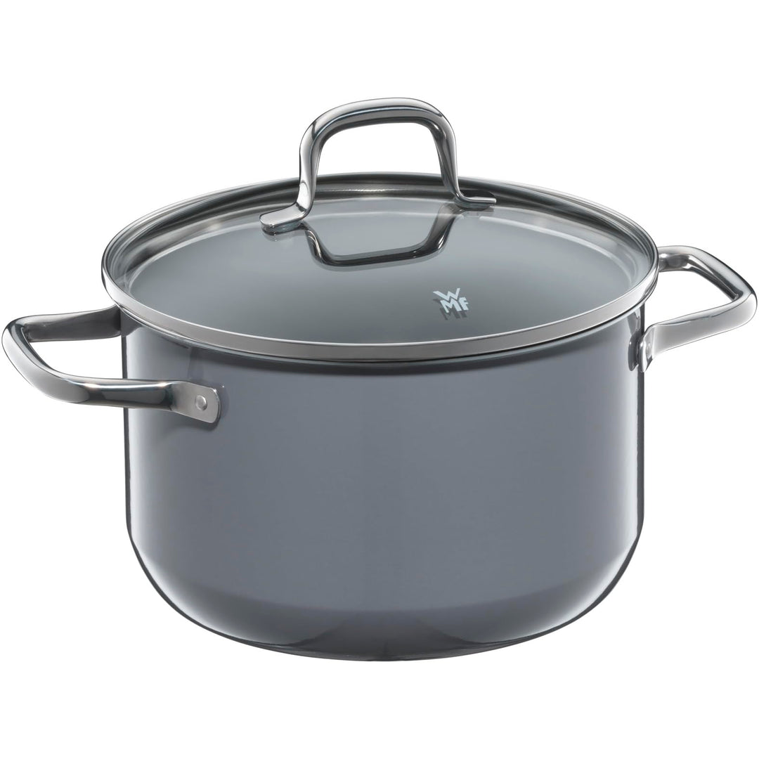 WMF Fusiontec Essential Kochtopf gross, 20 cm, Glasdeckel, Fleischtopf Induktion, 3,7l, High-Tech Ke
