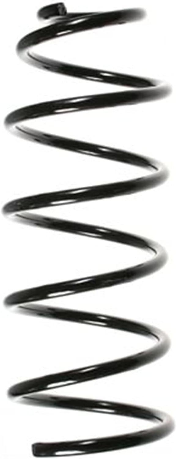 SPIDAN 49549 Fahrwerksfeder