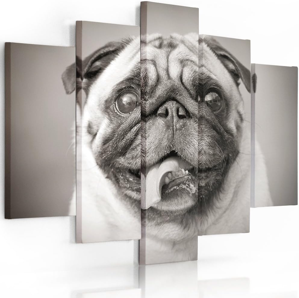 Feeby. Leinwandbild - 5 Teile - Bilder, Wand Bild, Wandbilder, Kunstdruck XXL, 5-Teilig, Typ A, 100x