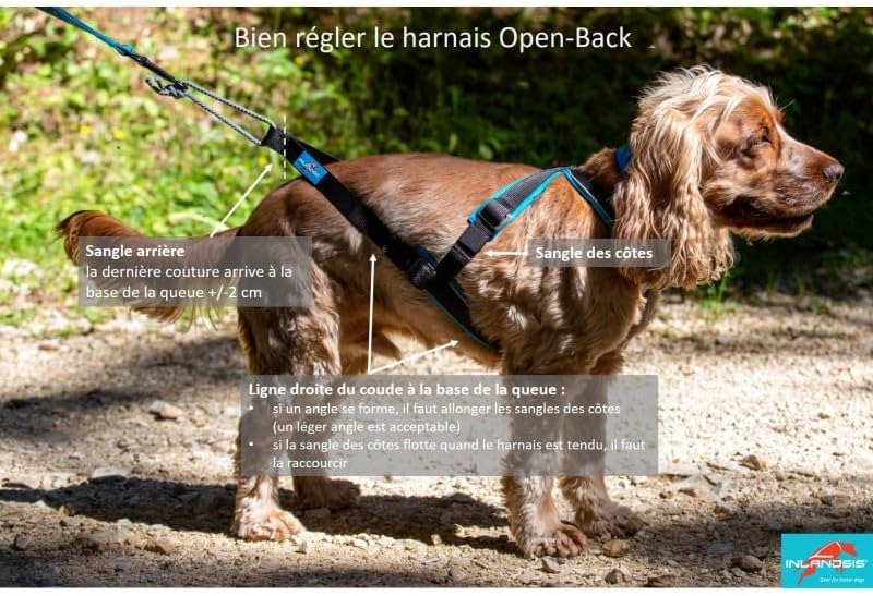 inlandsis Canicross Geschirr für kleine Hunde, Open-Back S Rosa / Schwarz, S Rosa / Schwarz