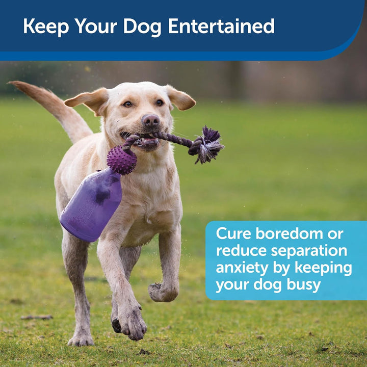 PetSafe Busy Buddy Tug-a-Jug Hundespielzeug, Snackspender mit Seil, Beschäftigung und Gewichtskontro