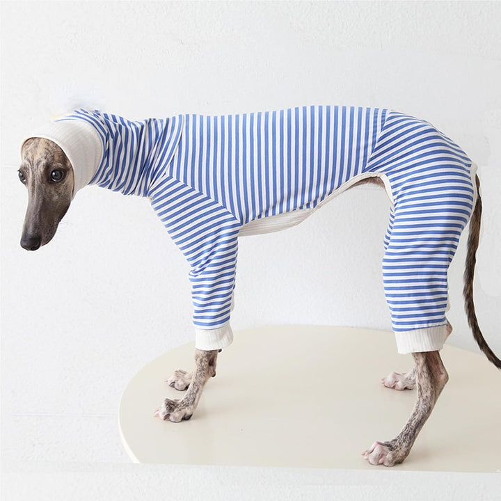 Leichter Baumwoll-Windhund-Pullover, Whippet-Kleidung mit Beinen, Rollkragen-Hunde-Jumpsuit, Hunde-P