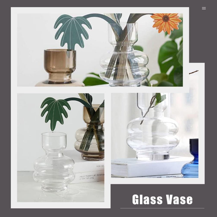 Glasvase Trockenblumenvase Hydrokulturvase Aus Glas Hahnenfussschlüssel Pflanzgefäss Aus Glas Einfac