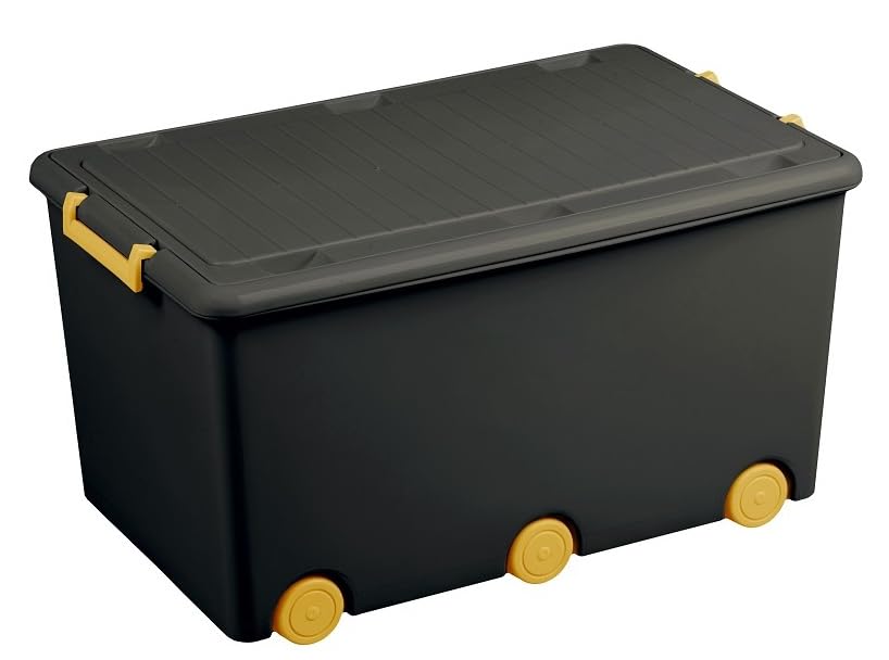 BDW Aufbewahrungsbox mit Deckel - Kiste für Kinderzimmer, Kindergarderobe, Sortierbox - Spielzeug Au