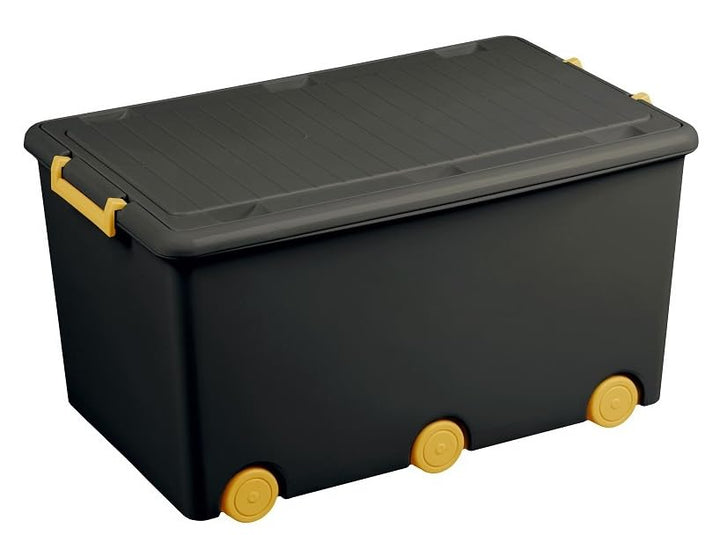 BDW Aufbewahrungsbox mit Deckel - Kiste für Kinderzimmer, Kindergarderobe, Sortierbox - Spielzeug Au