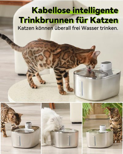 Katzenbrunnen Kabellos mit Bewegungsmelder, 4L Trinkbrunnen für Katze & Edelstahl Hunde mit Batterie