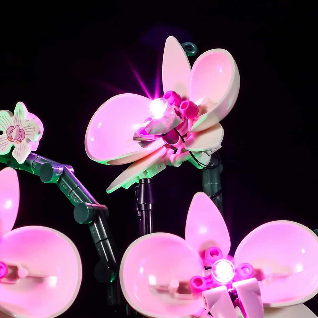 LIGHTAILING Licht-Set Für Lego-10311 Orchidee - Led-Beleuchtungsset Kompatibel Mit Lego Bausteinen M