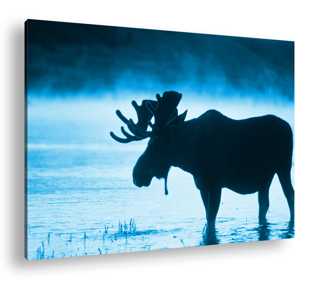 deyoli Elch Silhouette am Wasser Format 80x60 Effekt: Monocrome Blau als Leinwandbild, Motiv fertig