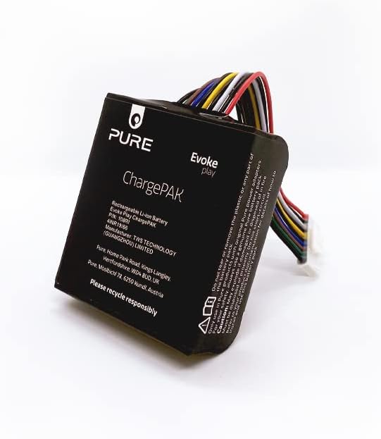 Pure Evoke Play portables Musiksystem für innen und aussen DAB+/UKW Radio & Evoke Play ChargePAK wie
