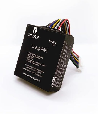 Pure Evoke Play portables Musiksystem für innen und aussen DAB+/UKW Radio & Evoke Play ChargePAK wie
