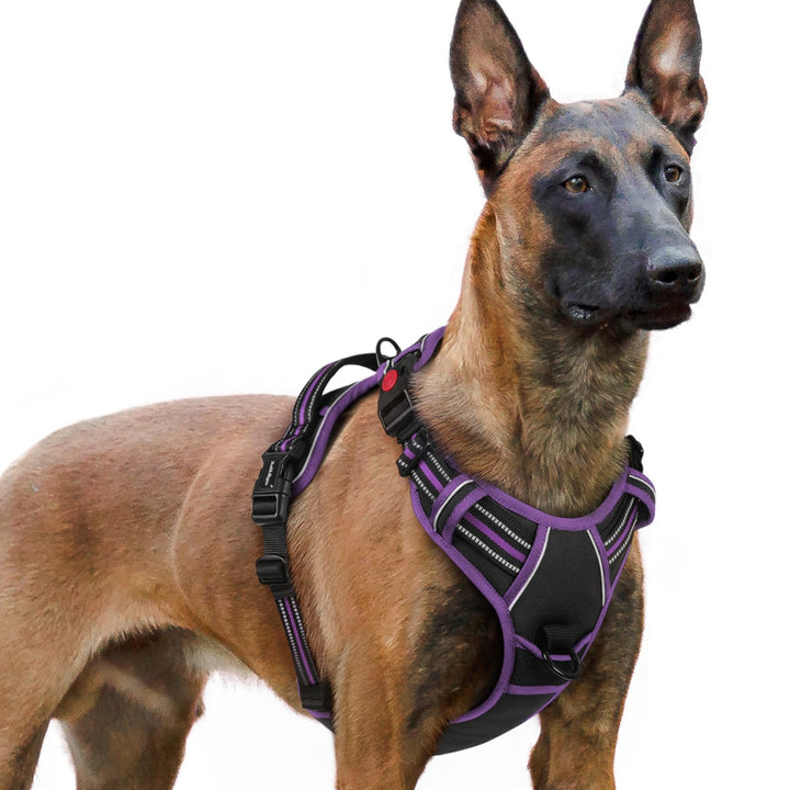 rabbitgoo Hundegeschirr Grosse Hunde, Verstellbare Geschirr Hund ohne Zug &amp; Würgen, Anti Zug Hundege