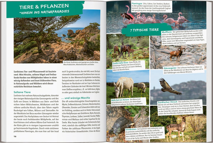 MARCO POLO OUTDOOR GUIDE Reiseführer Sardinien: Mit rund 150 Outdoor-Erlebnissen für alle, die am li