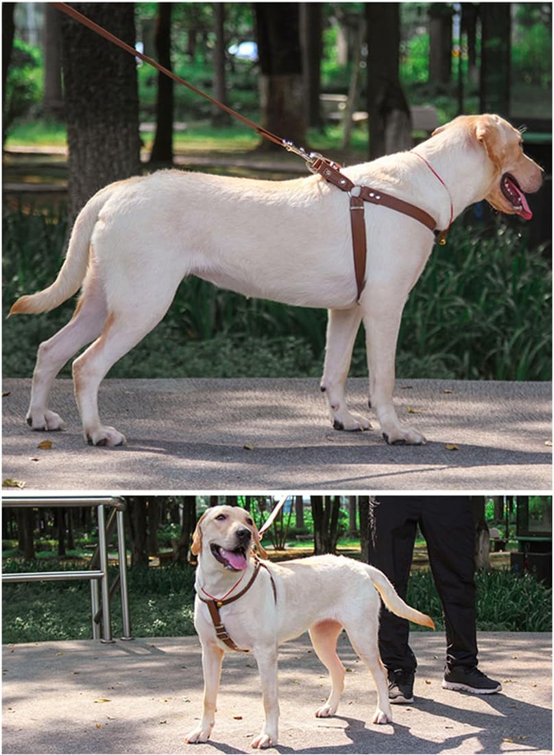 Hundegeschirr Leder Softgeschirr Verstellbare Brustgeschirre Norweger Haustier Ledergeschirr Weichem