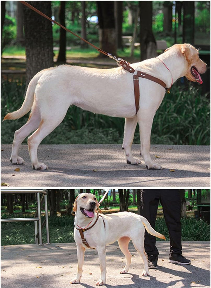 Hundegeschirr Leder Softgeschirr Verstellbare Brustgeschirre Norweger Haustier Ledergeschirr Weichem