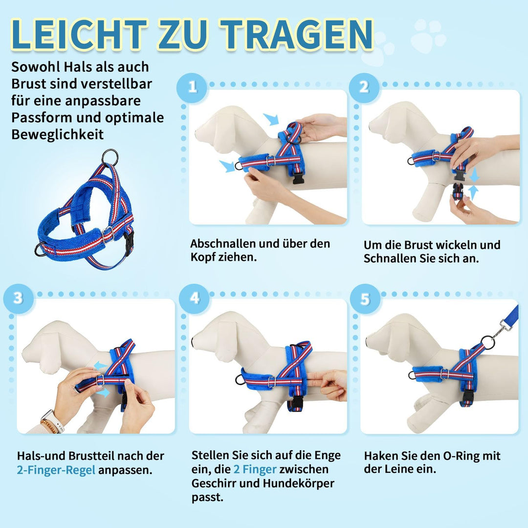Eyein Hundegeschirr mit Leine für mittelgrosse Kleine Hunde, Weich gepolsterter No-Pull Brustgeschir