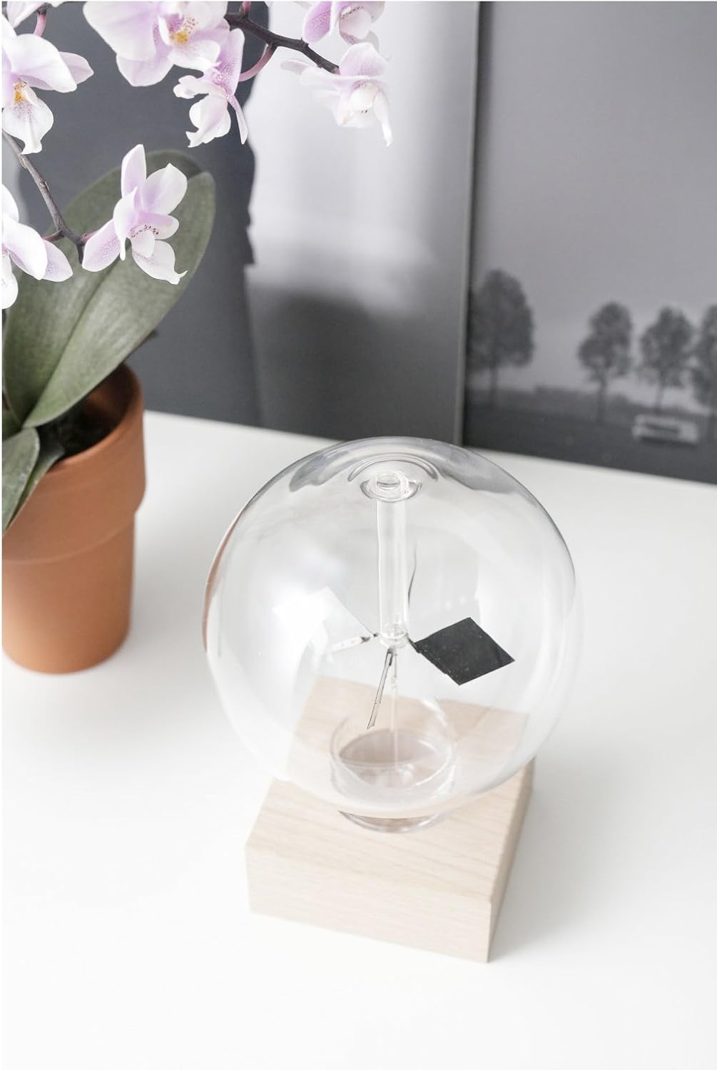 Kikkerland ST85 Deko, Holz, Glass, Transparent, 11.8 x 11.2 x 15.9 cm