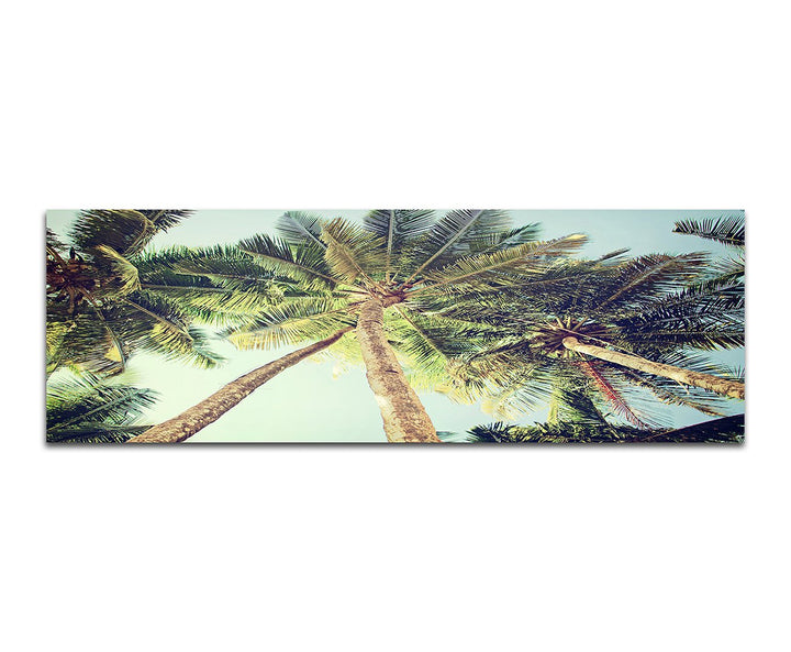 Paul Sinus Art Panoramabild auf Leinwand und Keilrahmen 150x50cm Palmen Himmel Vintage