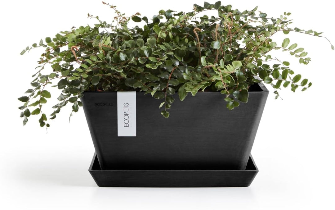 Ecopots Blumentopf Berlin Dunkel Grau - 31 x 31 cm quadratisch - Pflanzentopf aus Recycling Kunststo