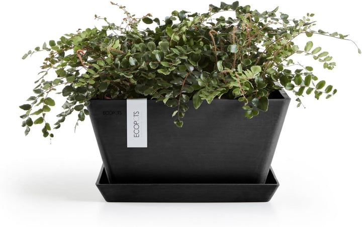 Ecopots Blumentopf Berlin Dunkel Grau - 31 x 31 cm quadratisch - Pflanzentopf aus Recycling Kunststo