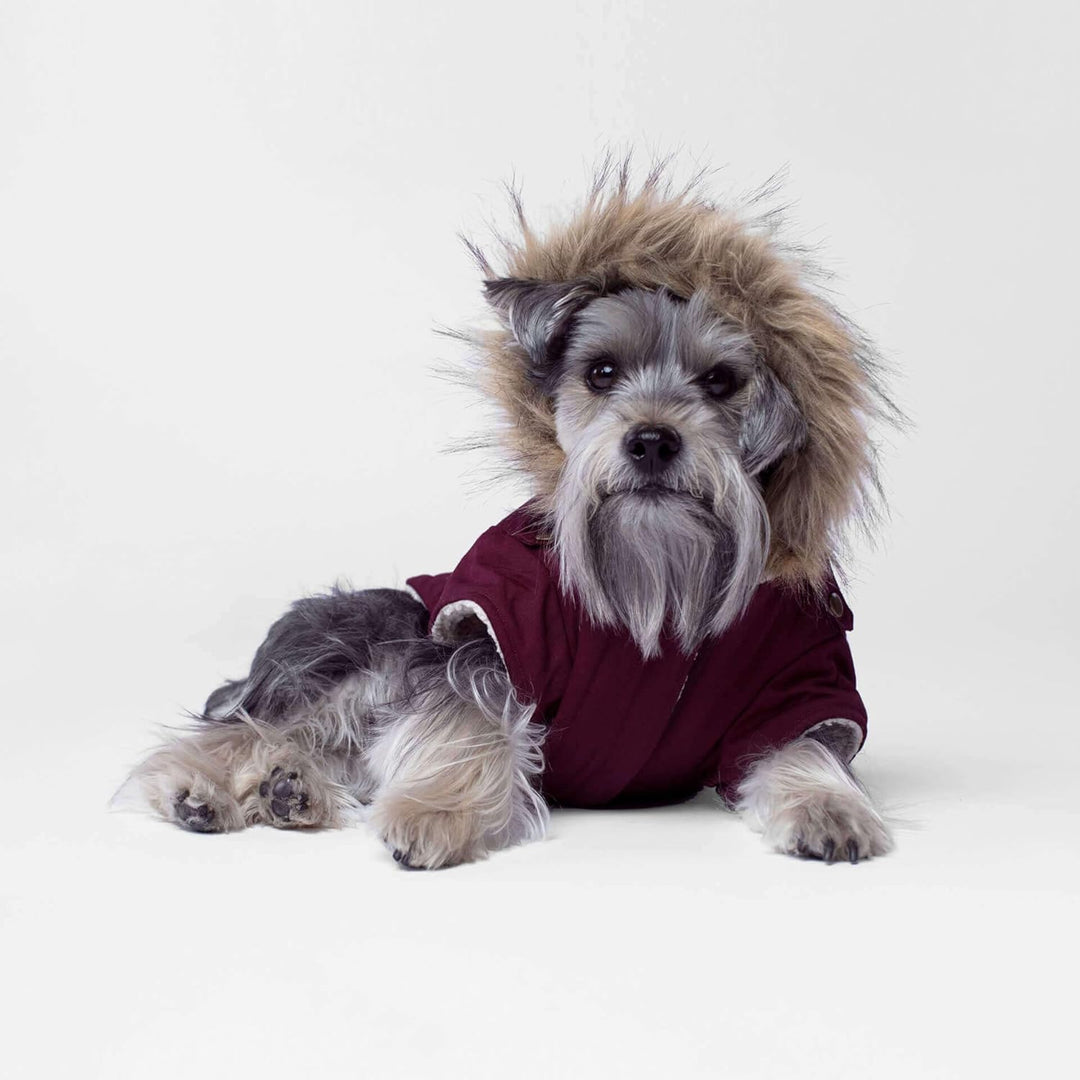 Canada Pooch Hundemantel, Alaskan Army Parka, Winterparka für Hunde, Kastanienbraun, Grösse 12 kasta