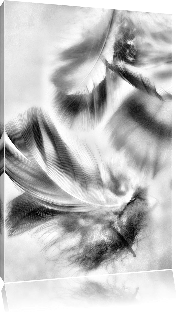 Pixxprint Weisse Feder auf schwarzem Stein als Leinwandbild/Grösse: 100x70 cm/Wandbild/Kunstdruck/fe