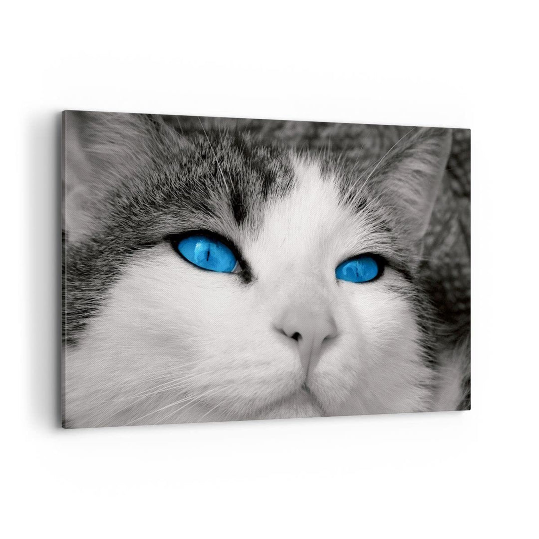 Bilder auf Leinwand 100x70cm Leinwandbild Katze Tiere blaue Augen Gross Wanddeko Bild Schlafzimmer K