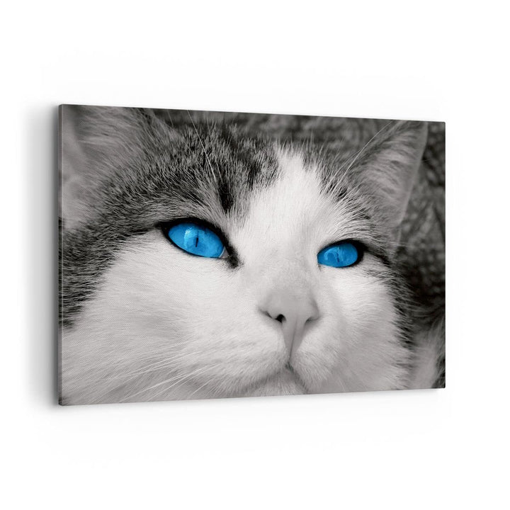 Bilder auf Leinwand 100x70cm Leinwandbild Katze Tiere blaue Augen Gross Wanddeko Bild Schlafzimmer K